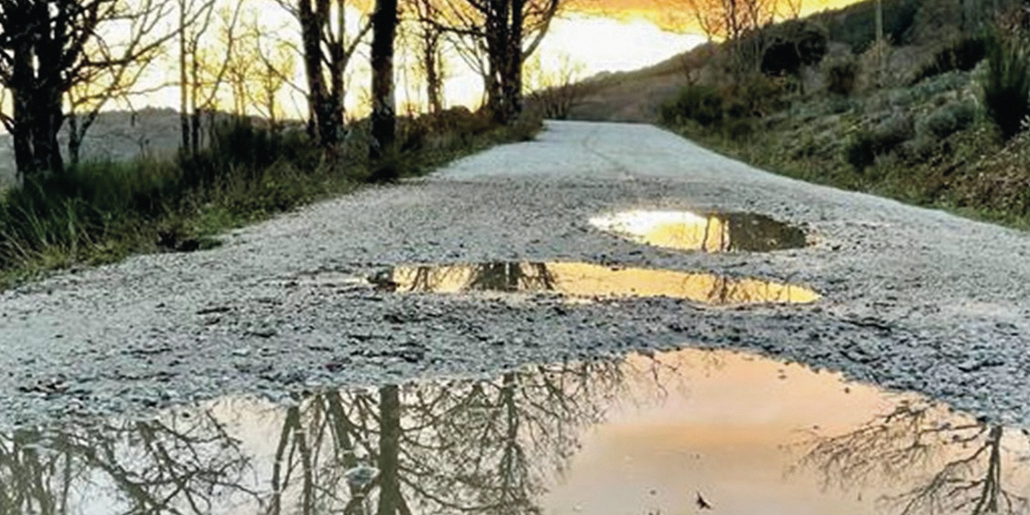 Paisaje-Abusos-Desvelando