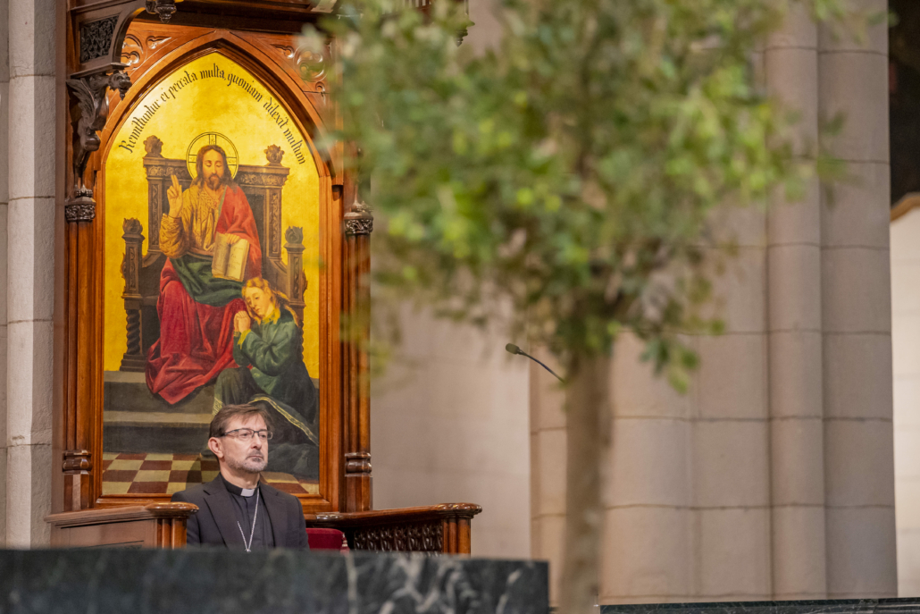 Proyecto Repara 21-10-2024 (41)