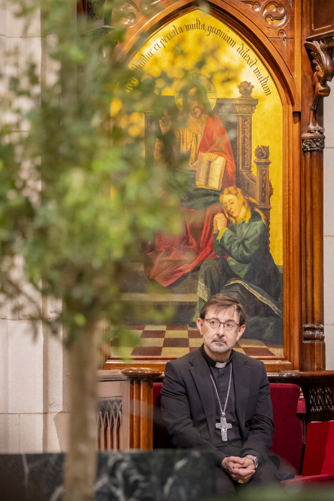 Proyecto Repara 21-10-2024 (53)