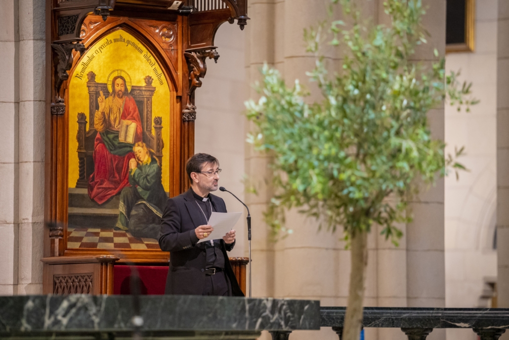 Proyecto Repara 21-10-2024 (71)