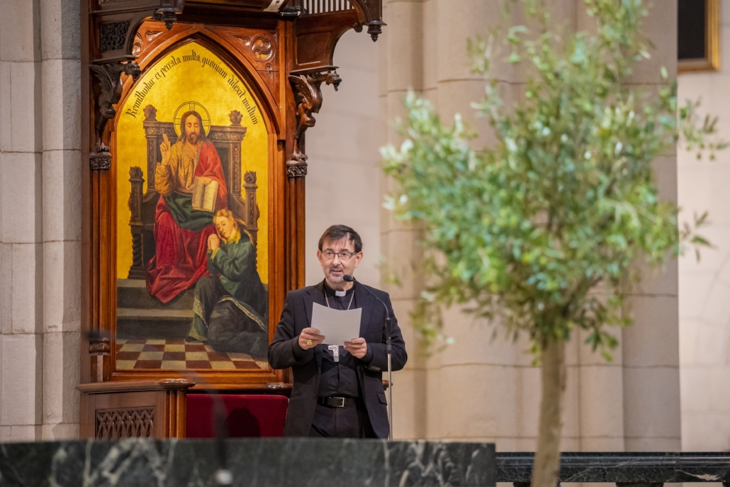 Proyecto Repara 21-10-2024 (72)