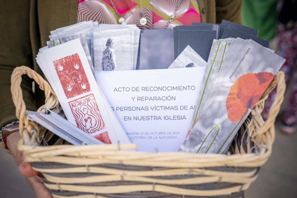 Proyecto Repara 21-10-2024 (8)