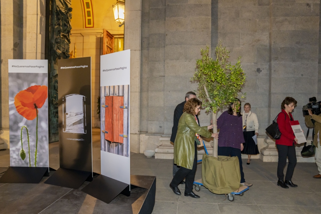 Proyecto Repara 21-10-2024 (82)