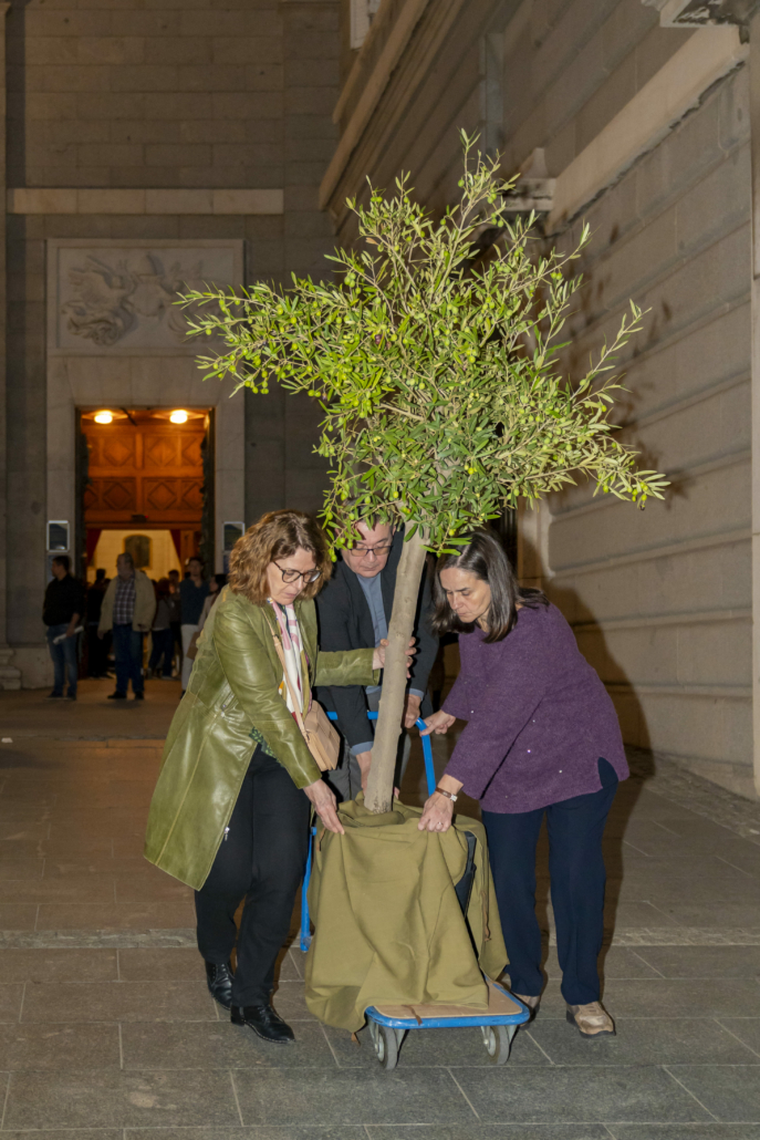 Proyecto Repara 21-10-2024 (83)