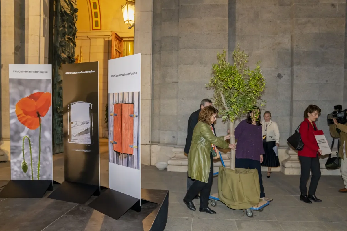 Magisterio de las víctimas 34 Proyecto-Repara-21-10-2024-82-1200x800