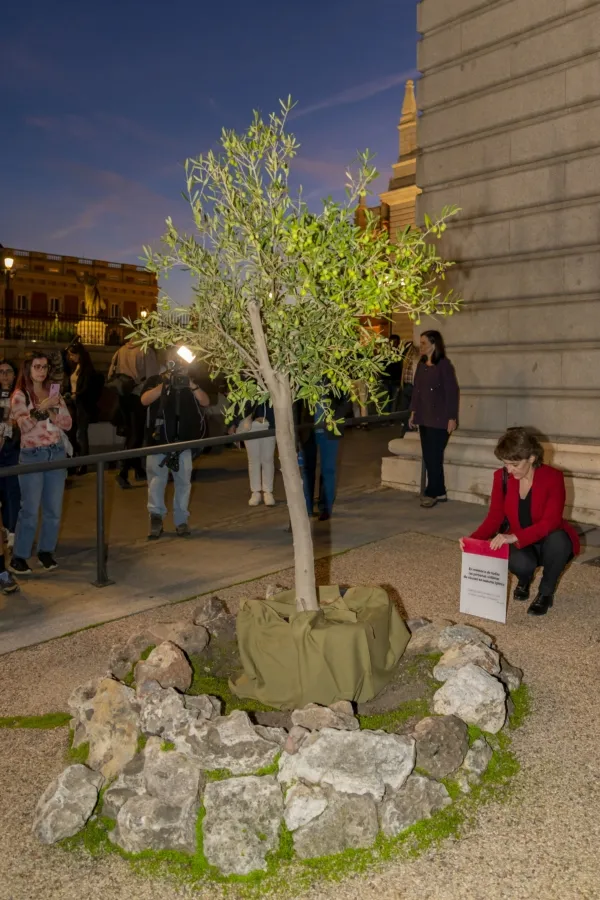 Magisterio de las víctimas 25 Proyecto-Repara-21-10-2024-85-600x900