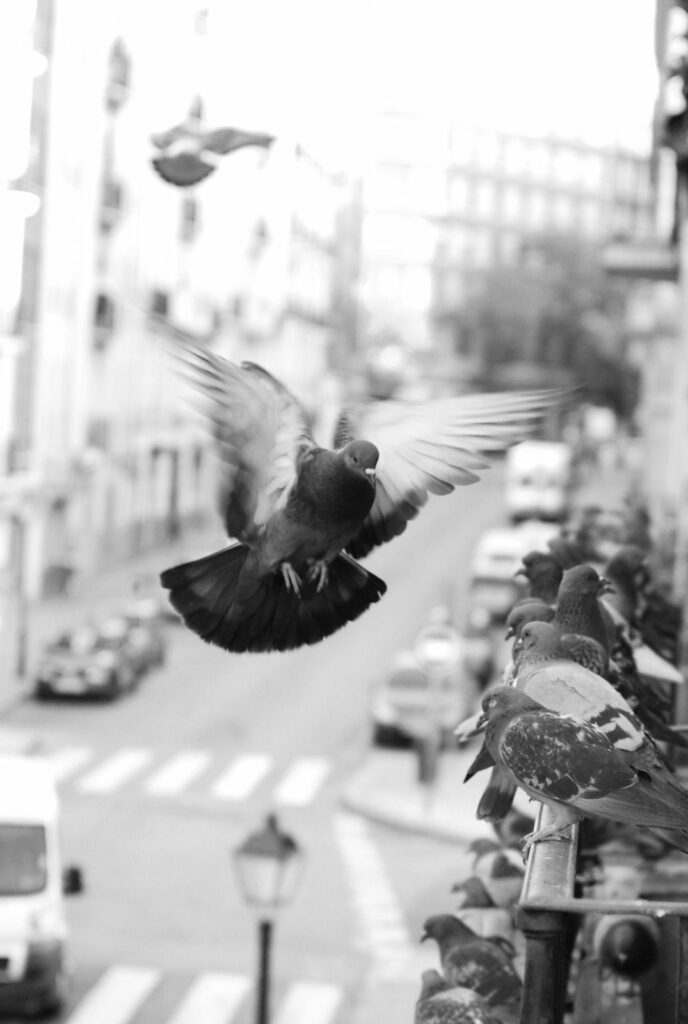 WhatsApp Image 2026 03 30 at 11.58.53